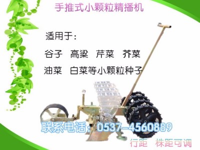 香菜精播机   小颗粒萝卜种子播种机  芹菜芥菜精播机