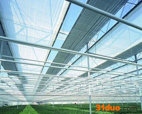 花卉遮阳网_大白菜遮阳网供应【金耀捷】