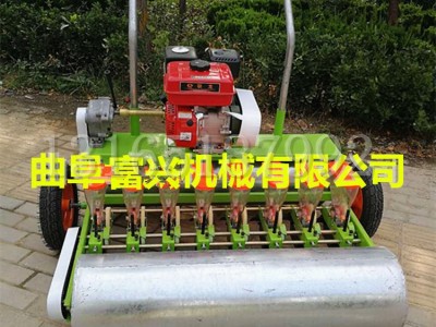 药材小颗粒种子精播机 谷子糜子苜蓿播种机 富兴批发蔬菜小种子种植机