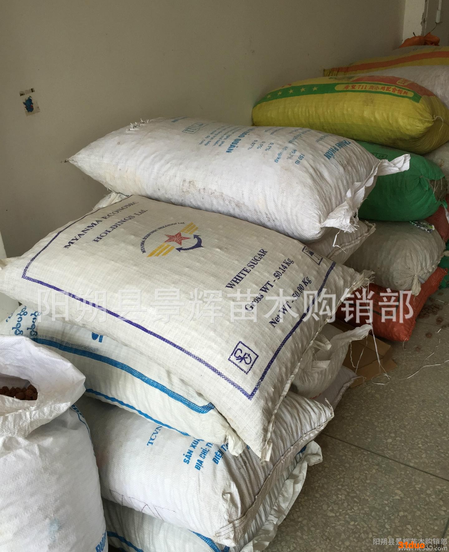 当年 ** 毛桃种子 桃树种子 山毛桃种子(160颗-190颗/斤)