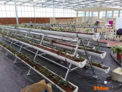 建设智能温室，日光温室，花卉大棚  详细咨询秦138-6368-1802