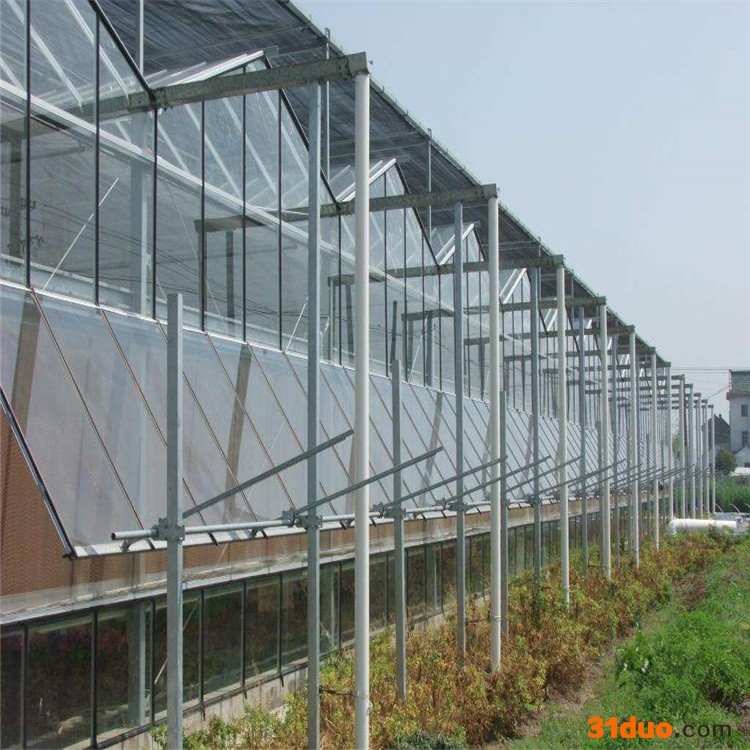 阳光果树温室 花卉大棚造价价格 观光大棚厂 辉腾温室