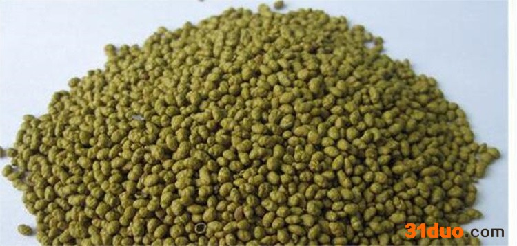 紫花苜蓿，紫花苜蓿种子