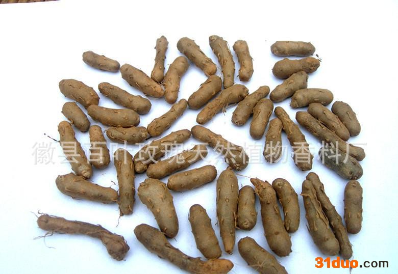 山药种子、**山药种子、****山药种子