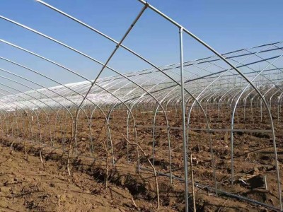 天津大棚骨架厂 可以定做4-13米大棚管 可代加工折弯 锁头 打孔 北京花卉大棚专用管 农业种植大棚