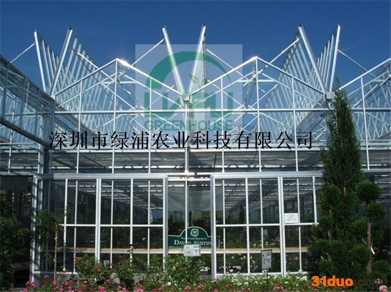 深圳绿浦全敞开温室 花卉、果蔬种植、育苗 、科研智能温室