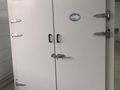 爆款电热恒温干燥箱 蔬菜热风循环烘干箱 花卉菌类脱水烘干房