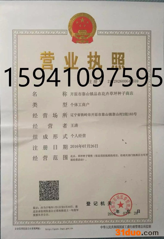 东北铁岭波斯菊种子 黑心菊种子 金鸡菊种子 五彩石竹种子 天人菊种子 百日草种子 观赏向日葵种子 马蔺种子 马莲种子