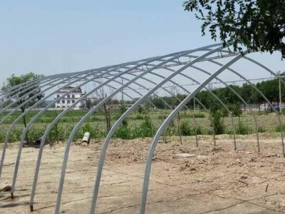 吉林镀锌大棚钢管 配件 可定做4-15米管 加工折弯 缩头 打孔 吉林花卉大棚骨架