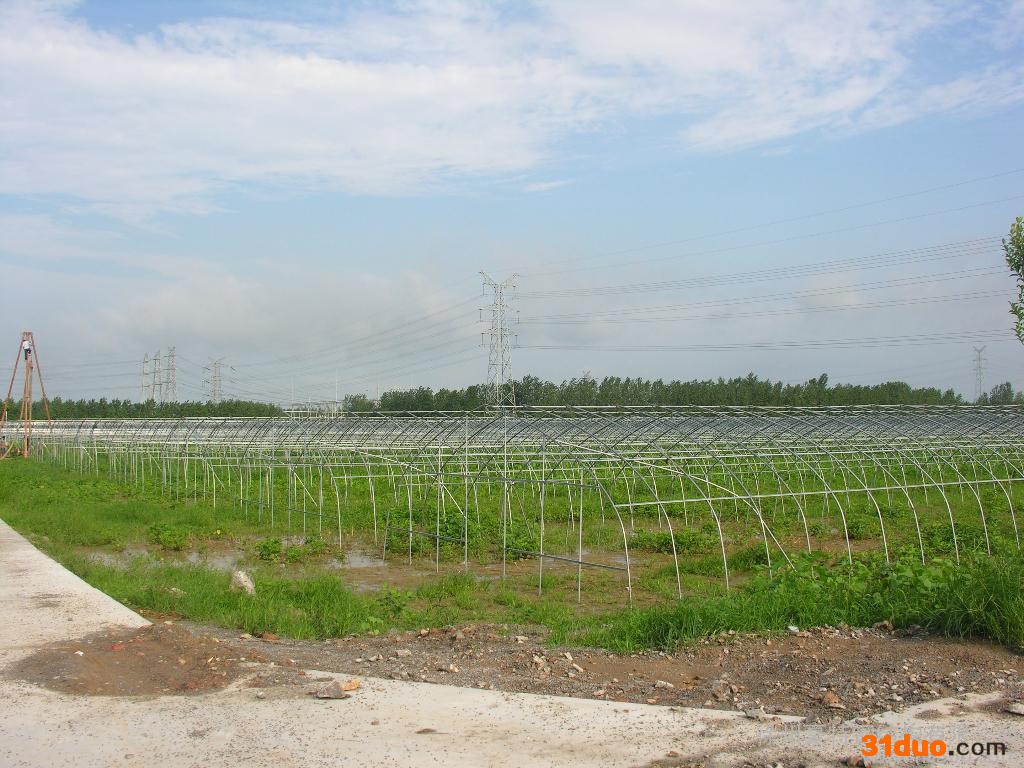 供应徐州豪特GP825/GP622食用菌但 蘑菇大棚 花卉大棚