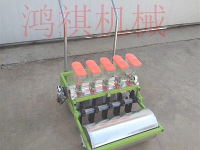 谷子播种机 蔬菜种子精播机 小粒种子蔬菜精量播种机 鸿祺机械