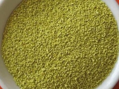 狗牙根，狗牙根种子