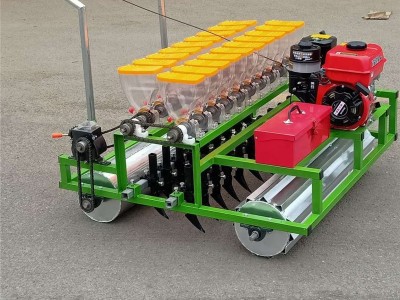 河北秦皇岛 蔬菜种子精播机 茼蒿播种机 批发