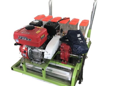 中药材播种机 冠发草种子精播机 蔬菜种子精播机