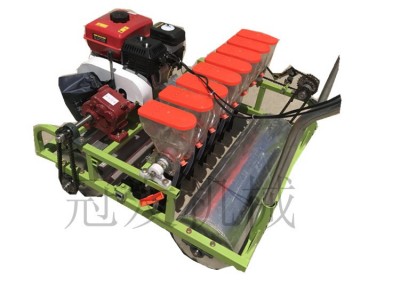 菠菜韭菜油菜精播机 蔬菜种子播种机 拉萨手推菜籽精播机22