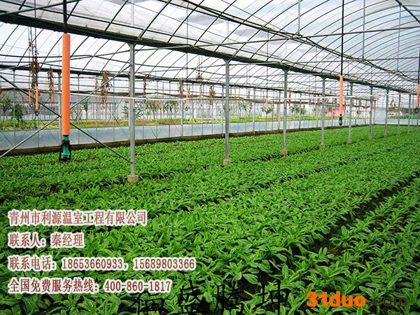 建造花卉玻璃温室,建设生态温室，请找利源温室