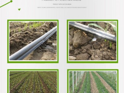 大豆 葵花 树苗专用贴片滴灌带 润泉节水 **】迷宫滴灌带 基地货源 量大优惠