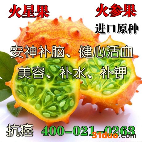火参果种子，火星果种子