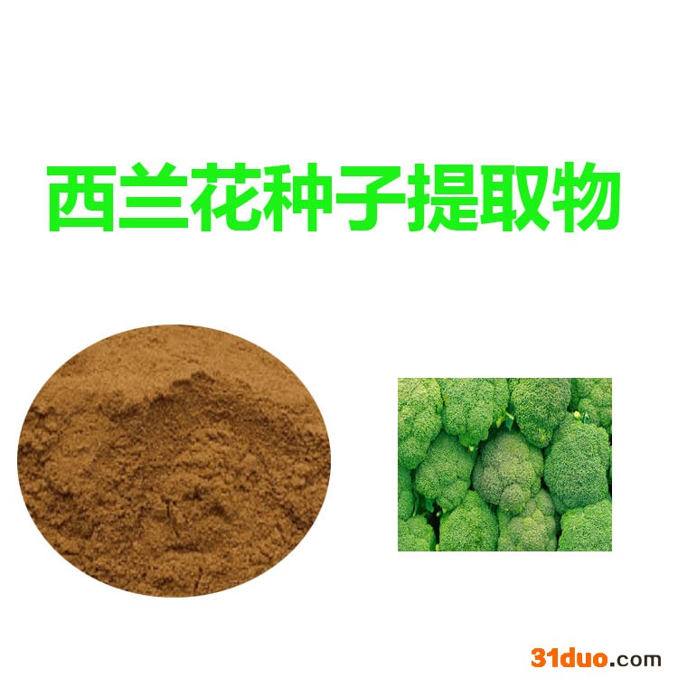 甘肃斯诺特 西兰花种子提取物  量大从优 西兰花种子粉