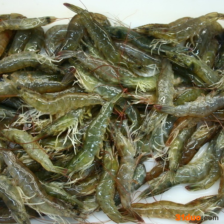 易久 观赏植物 农业综合开发 种植 花卉