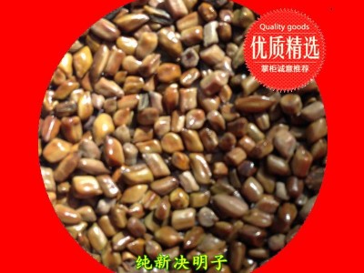 【龙飞种业】中药材种子/ 决明子种子/草决明种子/决明子种子价格/中药材除草剂/种子种苗/安国市龙飞种子经营部