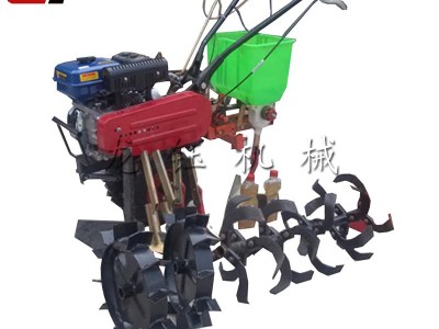 玉米精密播种机 龙钰玉米三行播种机 小型种子精量播种机
