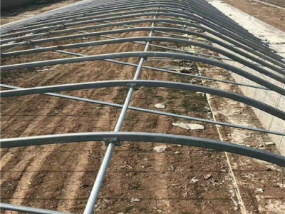 厂家批发 镀锌大棚管 温室大棚骨架 可以定做4-13米大棚管 可代加工折弯 锁头 打孔 北京花卉大棚专用管