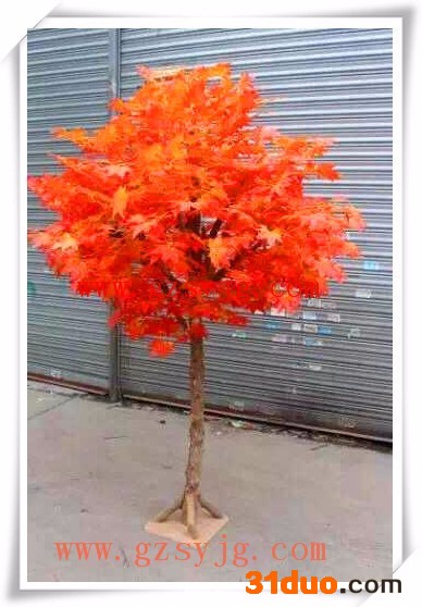 秋枫树_枫树叶子_室内仿真花卉植物枫树