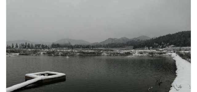 冬季鱼塘要如何增氧？冬季鱼塘增氧的方法介绍