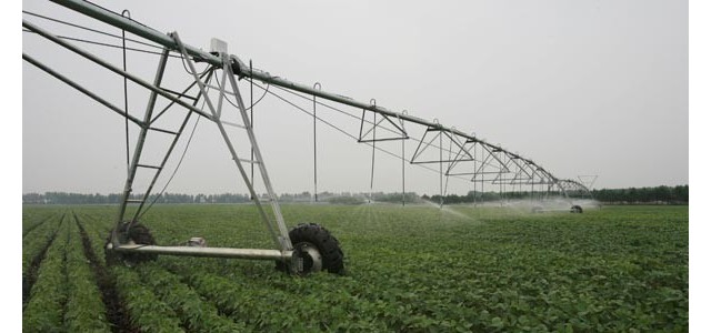 农资课堂：叶面肥使用技巧和注意事项