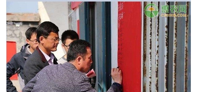 美人梅的养殖方法及养护要点