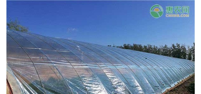 农资课堂：农膜修补小妙招