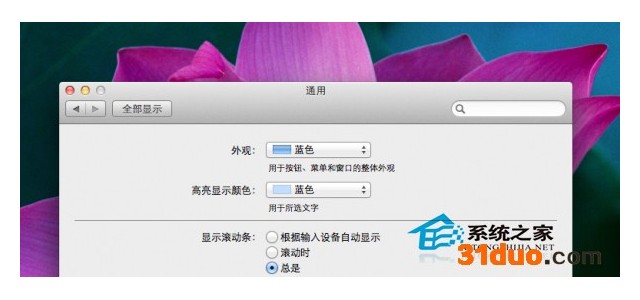 如何找出Mac OS X Lion消失的滚动条