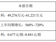 金安国纪：上半年净利润预计同比增长560%
