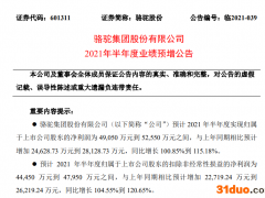 骆驼股份：上半年净利润预计同比增长101%