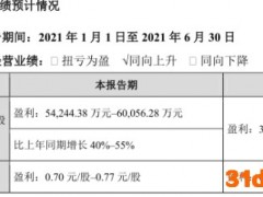 盈趣科技：上半年净利润预计同比增长40%