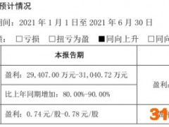 永兴材料：上半年净利润预计同比增长80%
