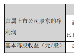 新乡化纤：上半年净利润预计同比增长2394%