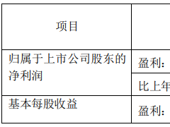 河钢资源：上半年净利润预计同比增长244%