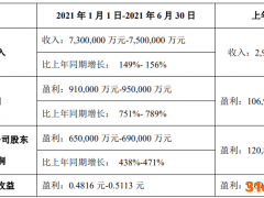 TCL科技：上半年净利润预计同比增长438%