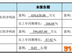 荣盛石化：上半年净利润预计同比增长105%