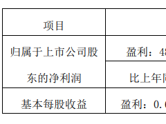 亚钾国际：预计上半年净利润同比增长4534%
