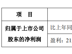 圣邦股份：上半年净利润预计同比增长110%—160%