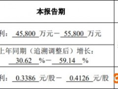协鑫能科：上半年净利润预计同比增长31%