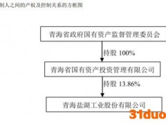 5.7万股东加鸡腿，盐湖提锂龙头杀回来了！开盘暴拉近400%
