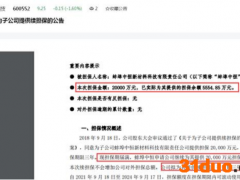 凯盛科技拟为一子公司续担保2亿：后者上个月曾被法院冻结部分银行存款
