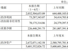 文灿股份：经营活动现金流2.26亿元，同比降19.42%