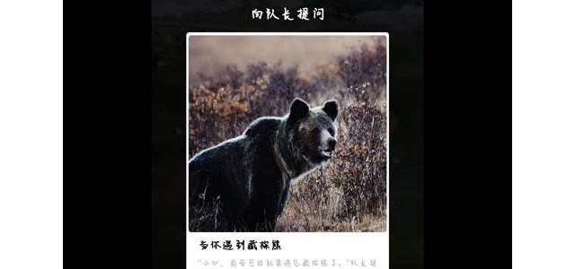 蚂蚁森林保护地巡护答案