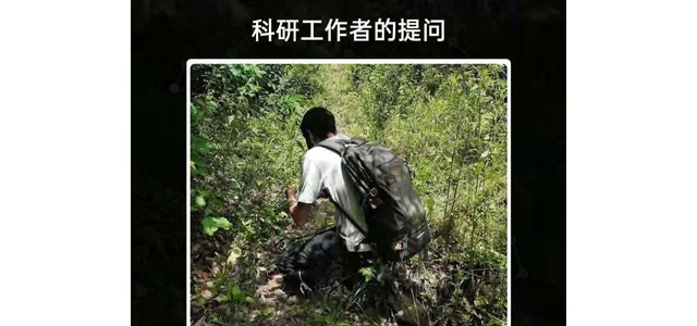 动物的粪便蚂蚁森林