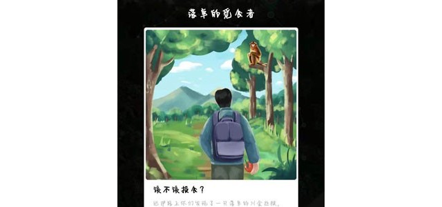 落单的觅食者该不该投食